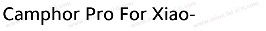 Camphor Pro For Xiao字体转换